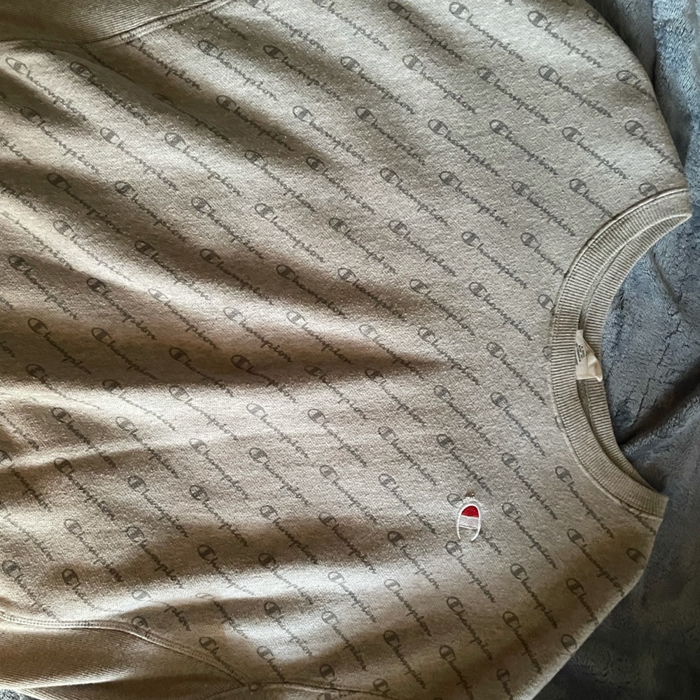 Champion Sweater